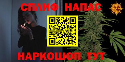 мяу мяу мука Михайловск
