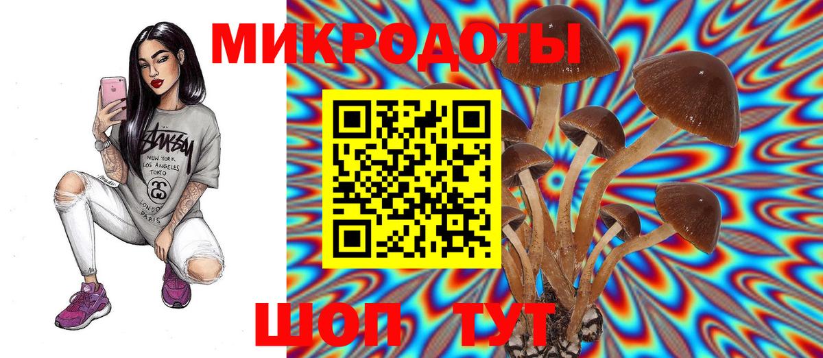 Псилоцибиновые грибы GOLDEN TEACHER  Вход с VPN  Всеволожск  Галлюциногенные грибы мицелий 